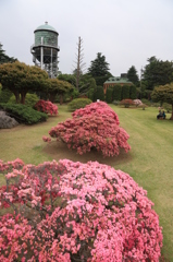 前橋市敷島浄水場一般公開