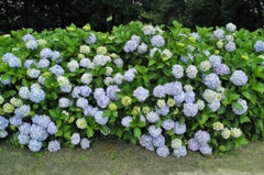 みんなが　主役！！