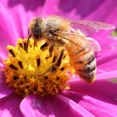 トリミング　してみました