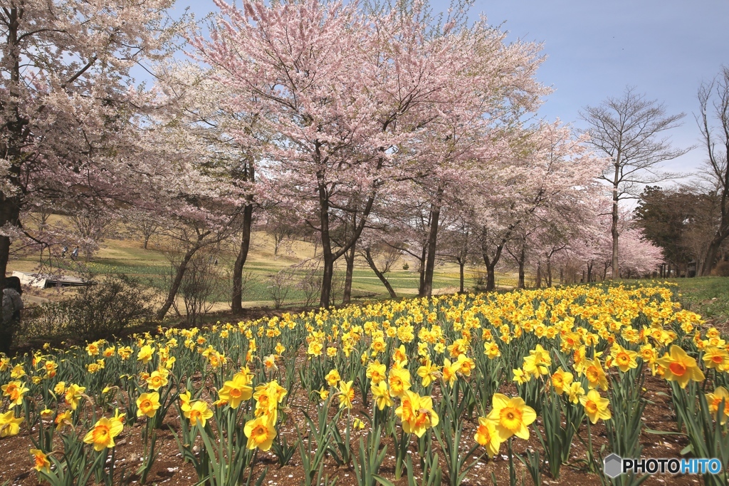クローネンベルク　ドイツ村　２