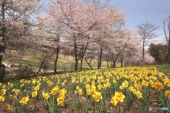 クローネンベルク　ドイツ村　２