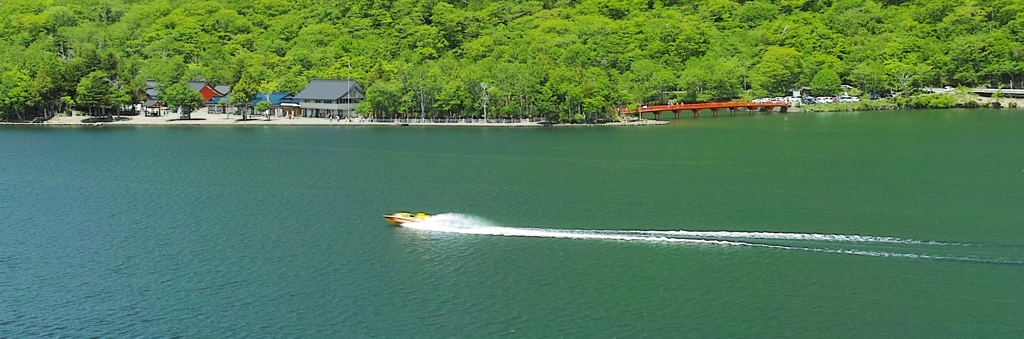 一部　トリミング