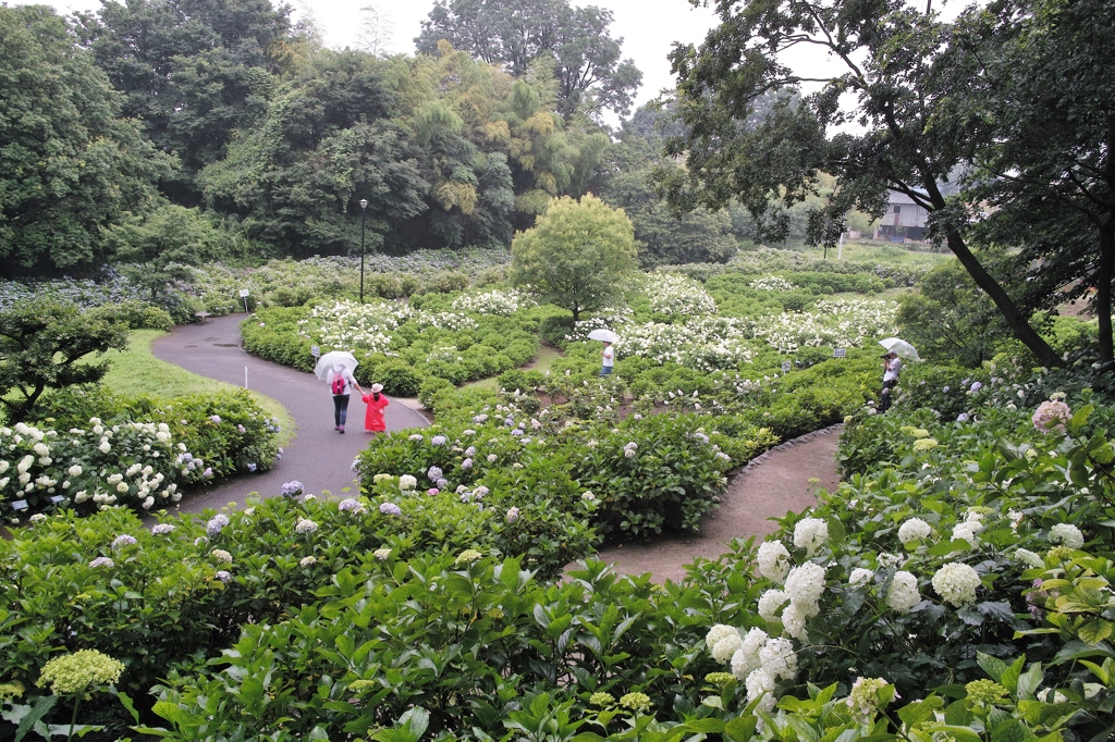 ミニ撮影会　を　撮影