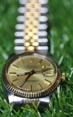 ２か月半　の　入院でした