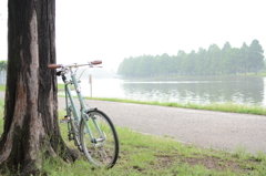 早朝の公園とビアンキ