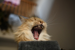 16152EF9-1B43-4D07-A424-1C9A4EB8628E