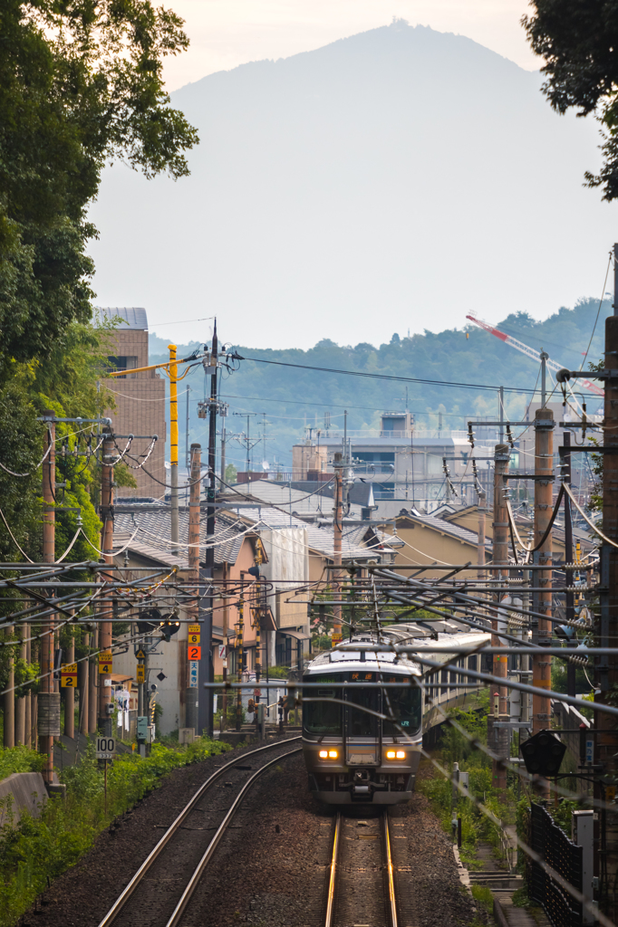 朝の嵐山Ⅲ