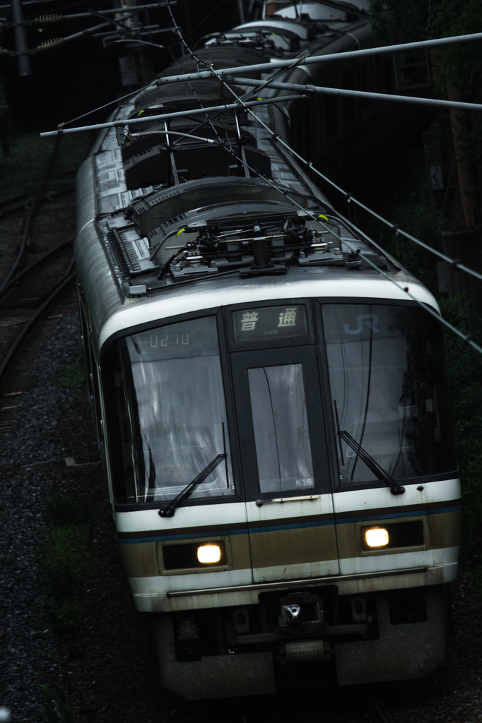 朝の嵐山Ⅱ