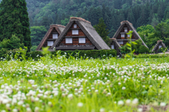 白川郷