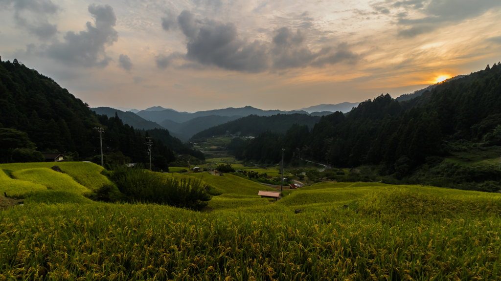 千枚田の夕暮れ