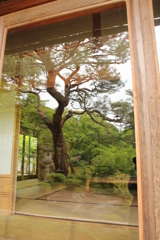 庭園