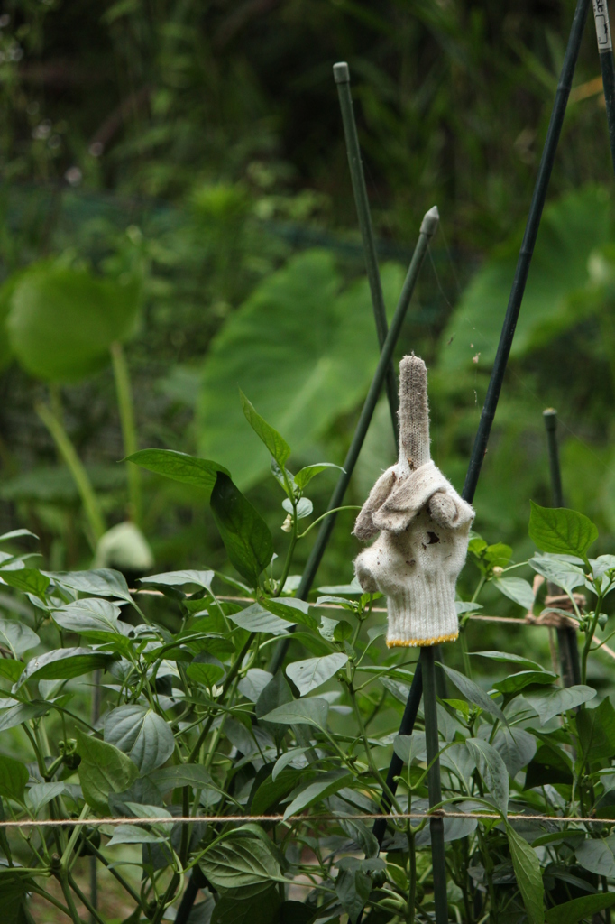 喧嘩を売られてる。