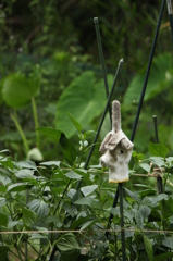 喧嘩を売られてる。