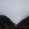 霧の町