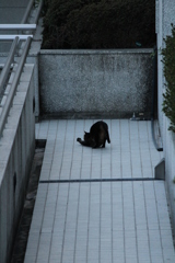 のび
