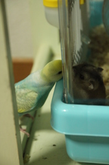 なあに