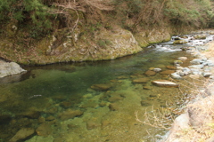 春の水内川