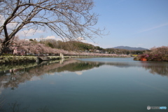 上野公園