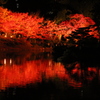 縮景園