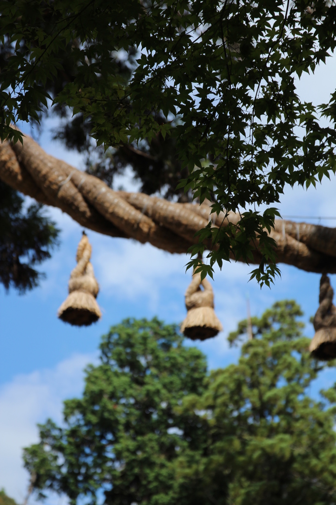 大神神社