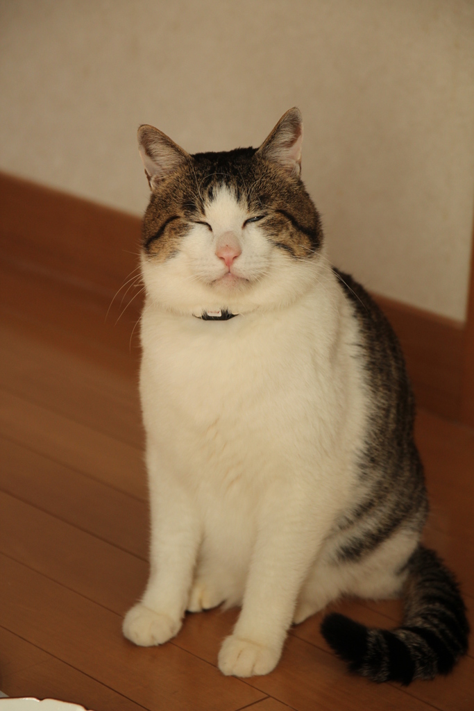 つるこ