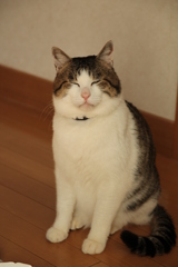 つるこ