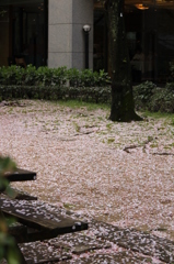 じゅうたん