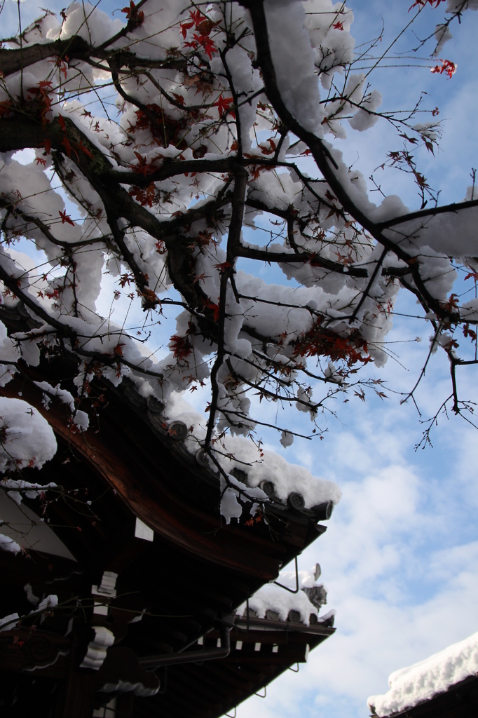 雪の八坂庚申堂