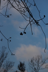 冬の空 冬の空