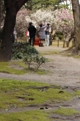 撮影＠縮景園