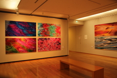 「天空の美、地上の美。」展＠奥田元宋小由女美術館