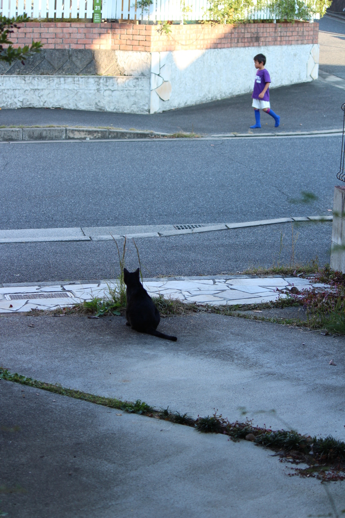 みまもる
