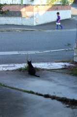 みまもる みまもる