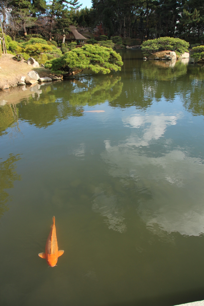 きたきた＠縮景園