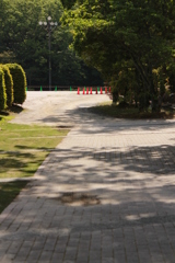 暑くなりそう。