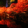 縮景園