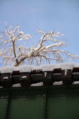 トロッコの枕木