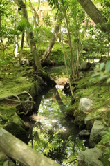 南禅寺　天授庵