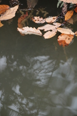 水面