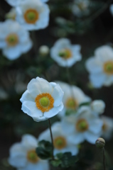 みんなわらって。