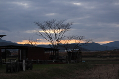 日没