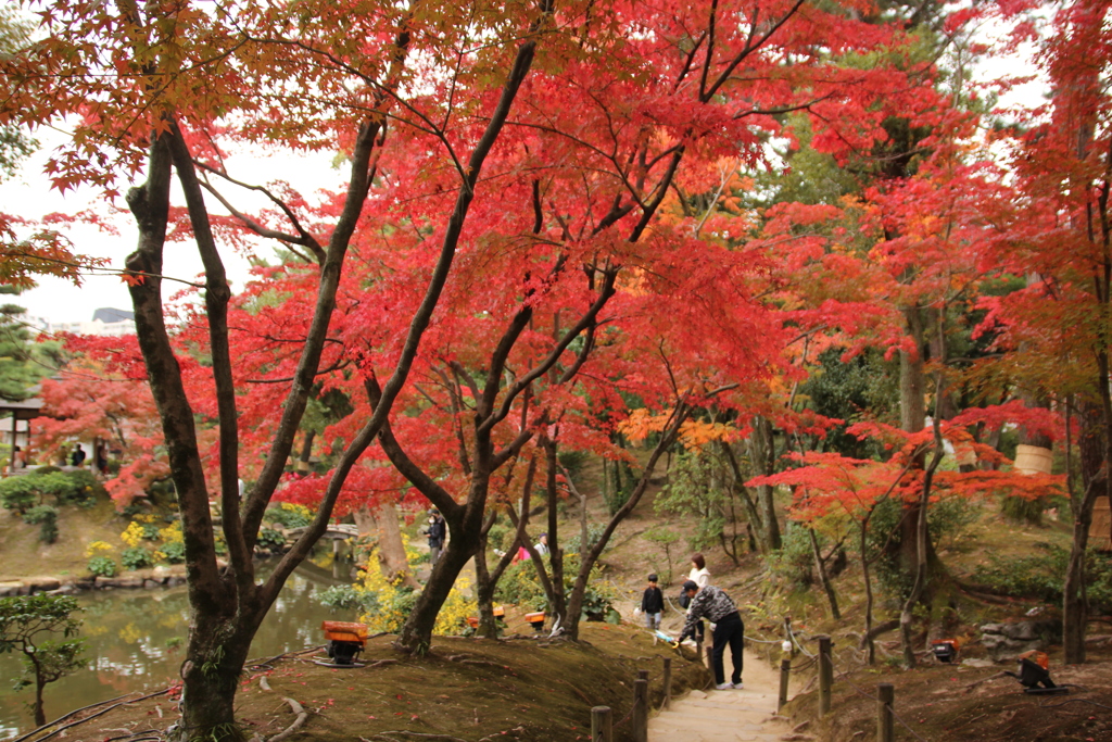 縮景園