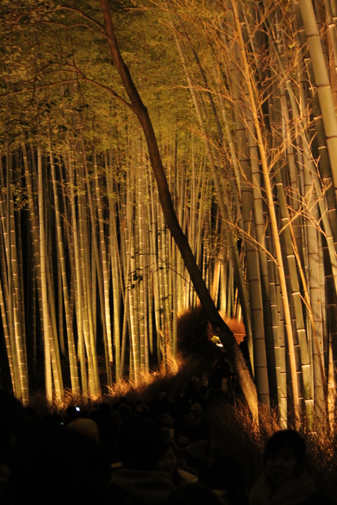 嵐山花灯路