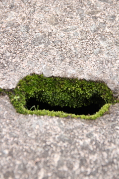 穴