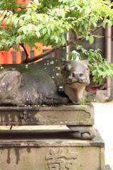 水鏡天満宮