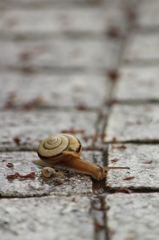 おやこ＠三良坂