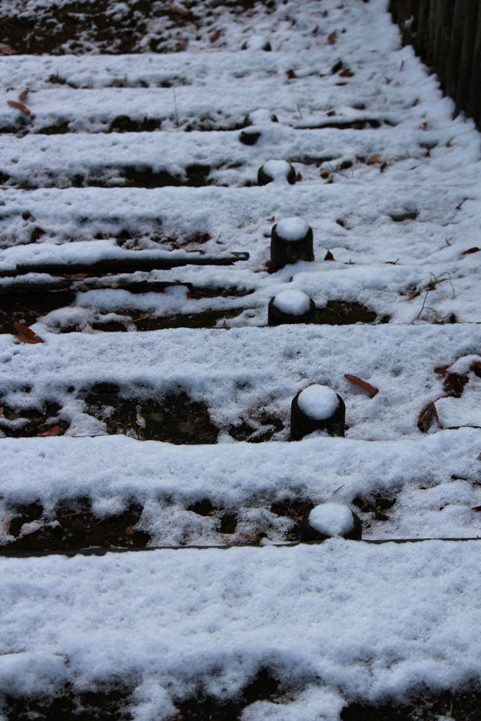初雪