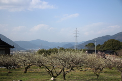梅林