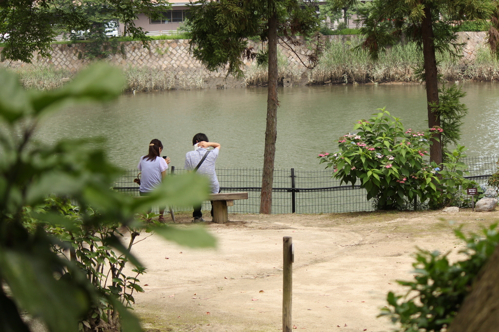 デート♡＠縮景園