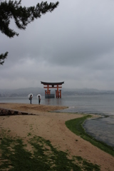 雨降りの撮影